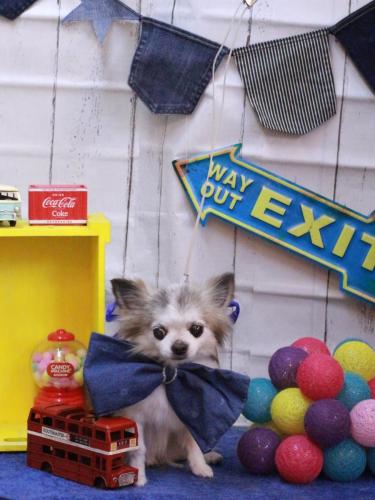 20230416クラウディアちゃん